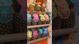 Miniature : Une vue, un ananas, et la magie de Porto 🍍🇵🇹 #shorts #porto #portugal