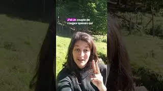 Miniature : Contribuer au vivant et se sentir à sa place. Une sensation nouvelle et merveilleuse pour moi ! 💞