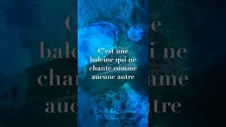 Miniature : 🐋 Cette baleine chante seule depuis des décennies...