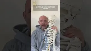 Miniature : Benoît Deleporte, notre professeur d'anatomie!
