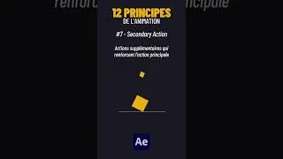 Miniature : 12 Principes de l'animation - #7 - Secondary Action