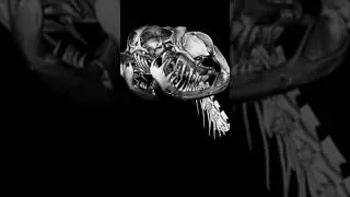 Miniature : Comment fonctionne la MACHOIRE des SERPENTS ?? 🐍