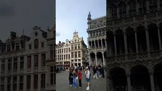 Miniature : Grande Place #shorts #ytshorts #belgium #belgique #brussels #bruxelles