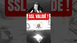 Miniature : Le SSL est validé ! (avec la Nissan Skyline bien sûr🏆)