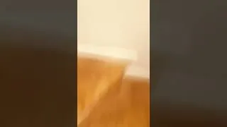 Miniature : Home Alone