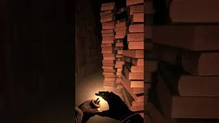 Miniature : La bibliothécaire me traque… 😨 #totalchaos #survivalhorror #horreur