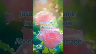 Miniature : #jesus #jesuslovesyou #eglise #viralvideo #oshoffa #ecc #shortvideo