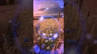 Miniature : #SpiritTravels 💫🕊️💫 #SoulVoyage ✨🤍✨