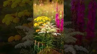 Miniature : 20 septembre 2026