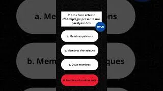 Miniature : 🐶 Short Quiz Vétérinaire : Neurologie & Médicaments