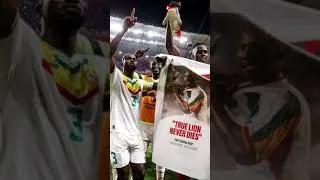 Miniature : Après 20ans nous voilà de nouveau en 8iem pour la coupe du monde 🌍 2022 proud 💪🏿❤️🇸🇳🇸🇳❤️❤️