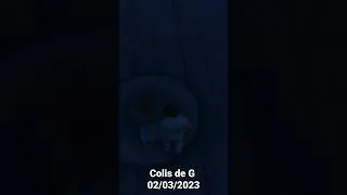 Miniature : Colis de G 02/03/2023
