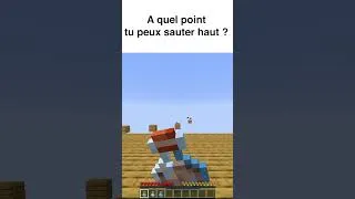 Miniature : Tu peux Sauter jusqu'à quelle Hauteur sur Minecraft ?