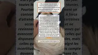 Miniature : Arrêtez d'attendre, commencez maintenant #citation #motivation #respect #shorts ⏳🚀 ✨