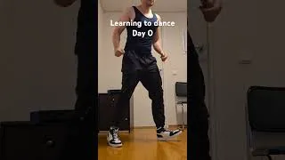 Miniature : Learning to dance day 0. I'm a rock, trying to be something else. #shuffle #cuttingshapes