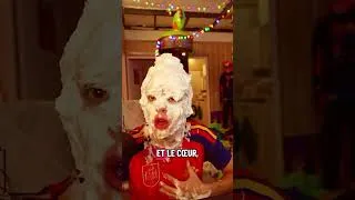 Miniature : Anyme en dépression 😭😂 #anyme #funnyvideos #streamer #streaming #live #depression #twitch #drôle