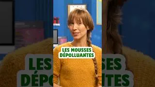 Miniature : 🛁 Bain mousseux dépolluant