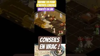 Miniature : Conseils en vrac début d'aventure Dofus rétro saisonnier ex : avoir une agride +20