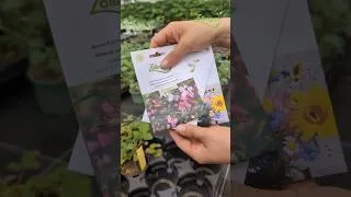 Miniature : Garden ASMR 🌱