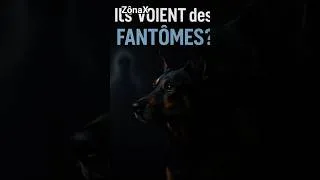 Miniature : Les chiens VOIENT-ILS les FANTÔMES ? #mystère #chien #animaux #histoirevraie