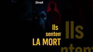 Miniature : Les chiens qui PRÉDISENT la MORT avant qu’elle n’arrive ! #mystère #animals #animalmystère #chien