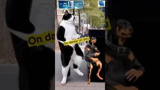 Miniature : #AI : On danse un peu les ami(e)s