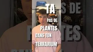 Miniature : DES PLANTES DANS TON TERRA ?!