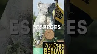 Miniature : Qui sont les stars de la caravane Beauval du Tour de France ?