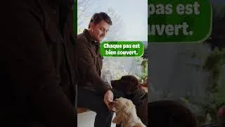 Miniature : Royal Canin Joint & Ageing Adult Supplement – Gardez-les en mouvement
