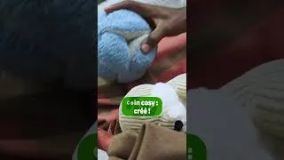 Miniature : Royal Canin Puppy – Début de Vie: Comment se préparer à accueillir un chiot