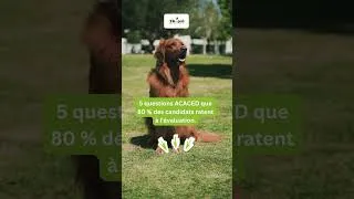 Miniature : ACACED Pro+