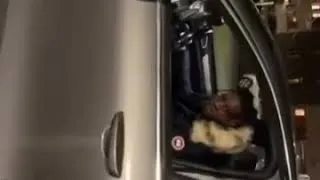 Miniature : Liwen - Sky _ les humains balaise  ( freestyle insta)