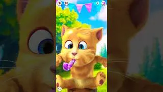 Miniature : Oh My Talking Ginger‼️
